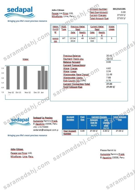Peru Sedapal La Atarjea water utility bill in Word format